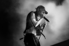 IMG_4261-Edit-Edit