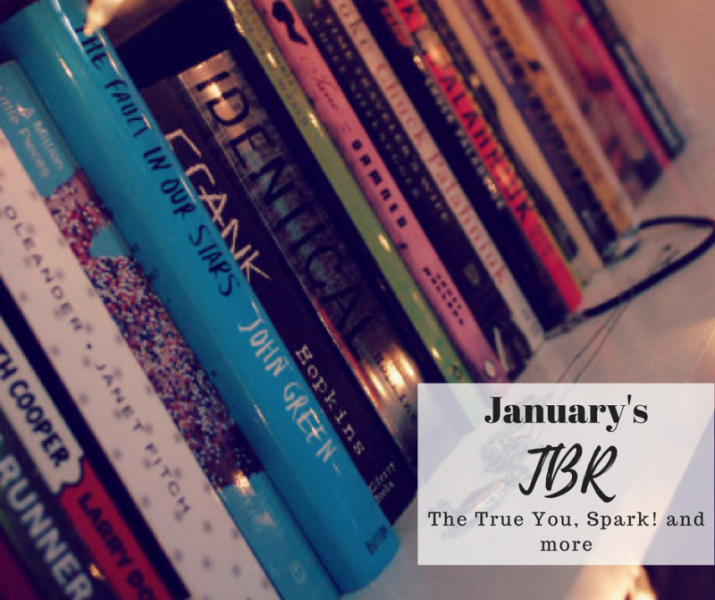 January TBR
