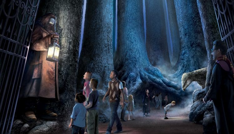 forbidden forest harry potter studios