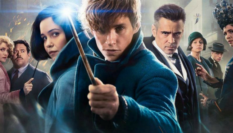 10 GIFs to reignite your love for 'Fantastic Beasts' 11