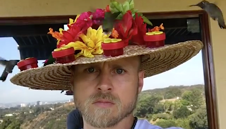spencer pratt hummingbird hat