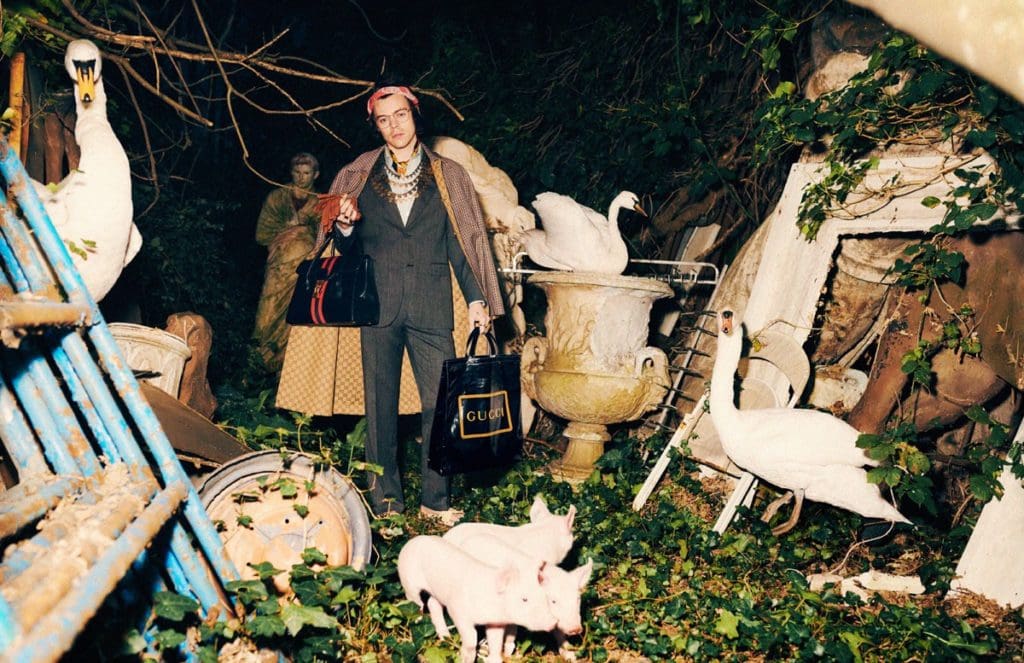 harry styles gucci pre fall 2019 4