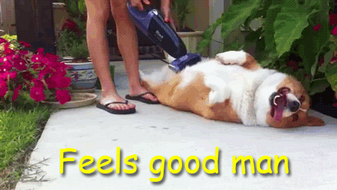 Feels Good