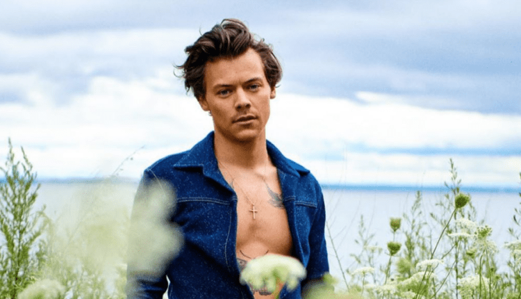 26 reasons why Harry Styles had the best year ever