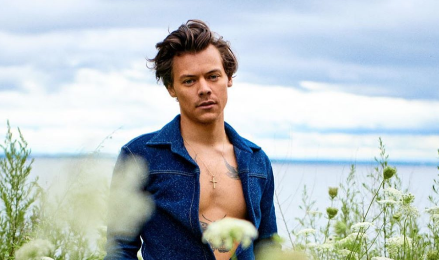 26 reasons why Harry Styles had the best year ever