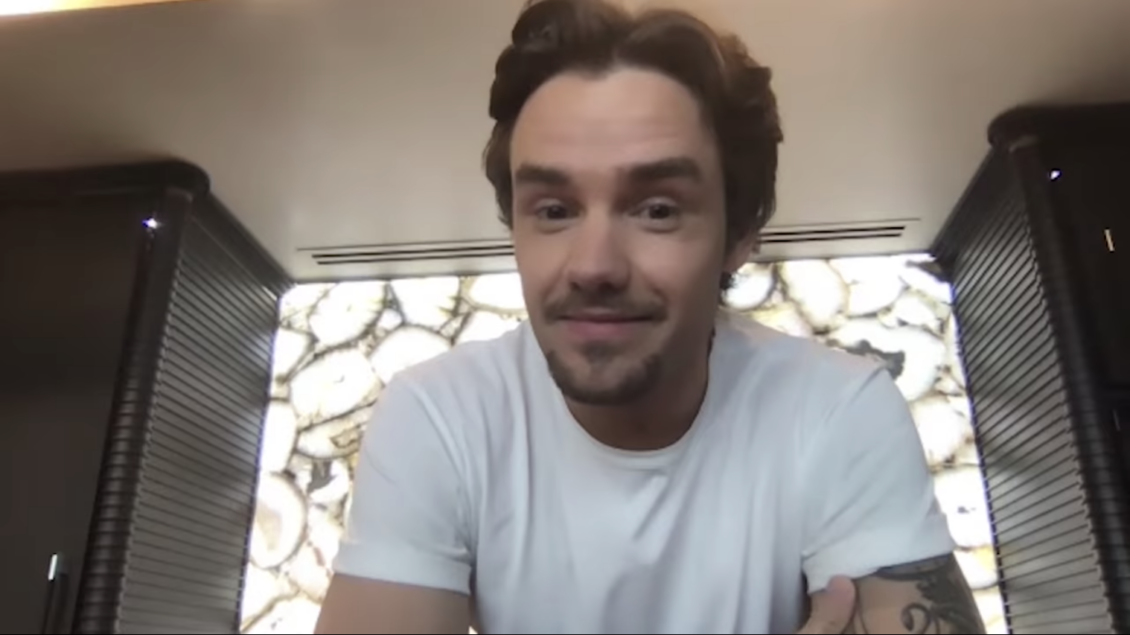 liam payne video diaries 2020