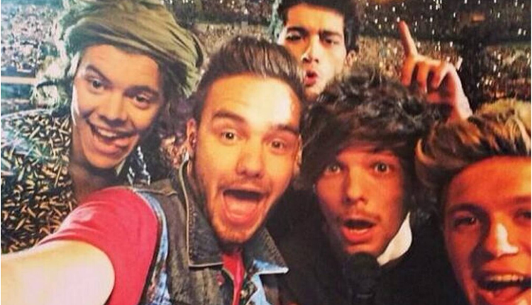 One DIrection, San Siro Selfie