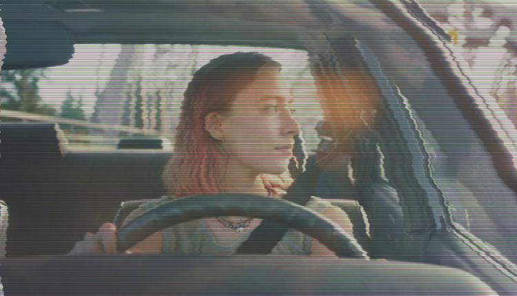 lady bird driving