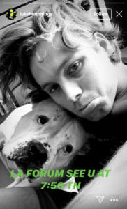 Luke & Petunia