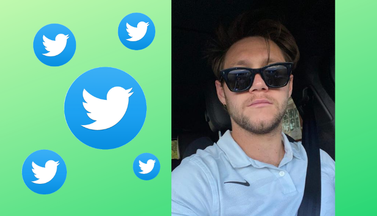 Niall Horan, Twitter Logo