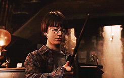 Daniel Radcliffe in the Philosopher's Stone.