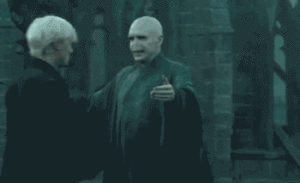 Ralph Fiennes and Tom Felton