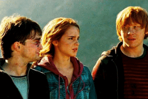 Harry, Ron and Hermione in Deathly Hallows Part 2